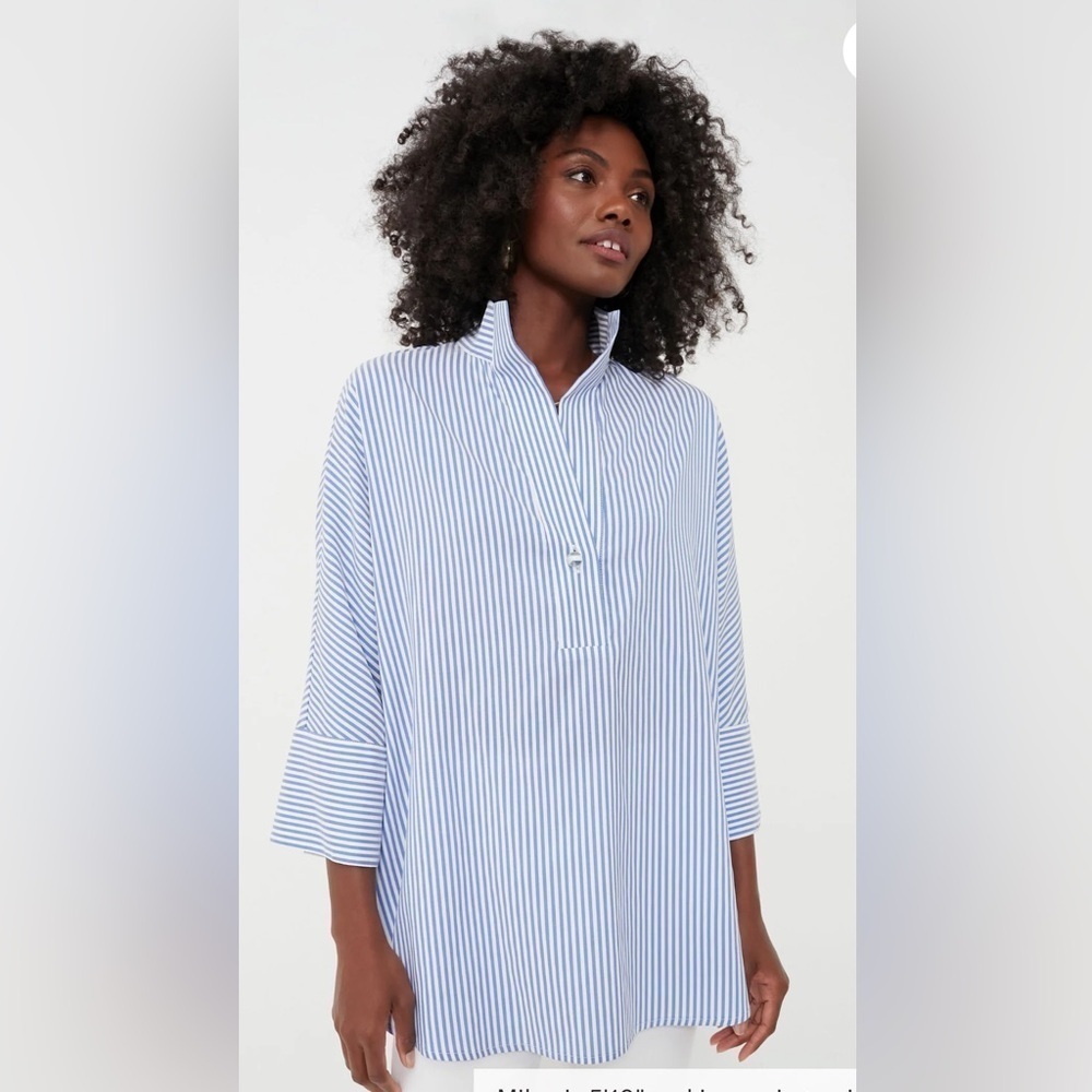 Tuckernuck Blue Stripe Willow Blouse. V-neck. Stand up collar. Classic. XS